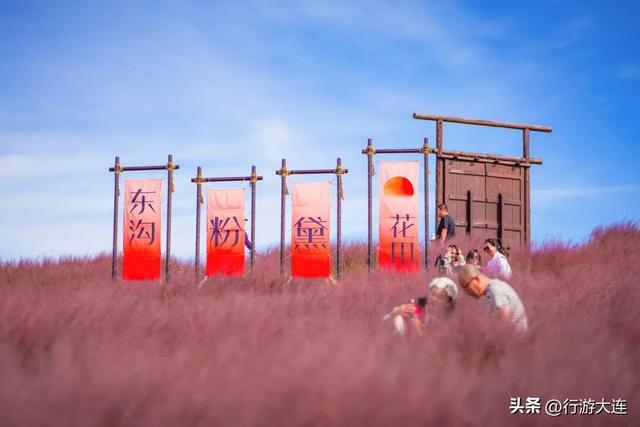 别错过！东沟“遇稻粉黛”景区新增打卡点