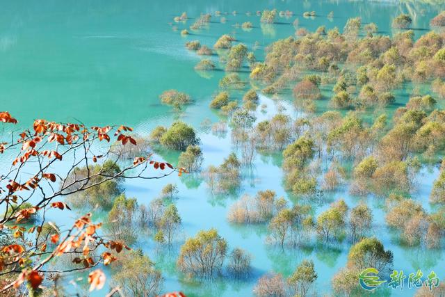 两江交汇碧波现