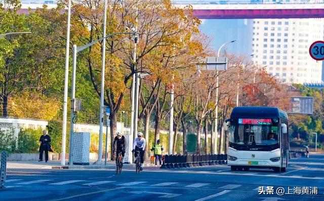 最美的季节！一起来静谧斑斓的黄浦滨江晨跑吧！