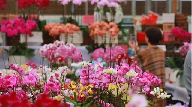 有一种烟火气叫“罗庄大集”，「美食+美景」全攻略