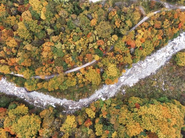 当唐家河“搬”进南京城：一场跨越千里的自然邂逅