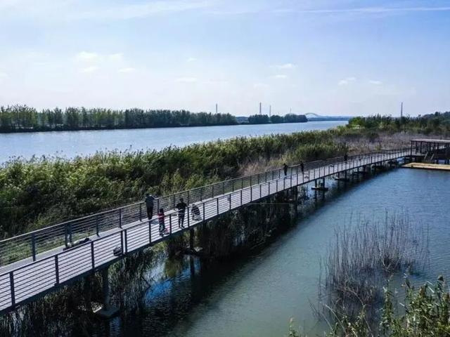 22℃！气温回升！这份温差版江北限定出游指南收好！