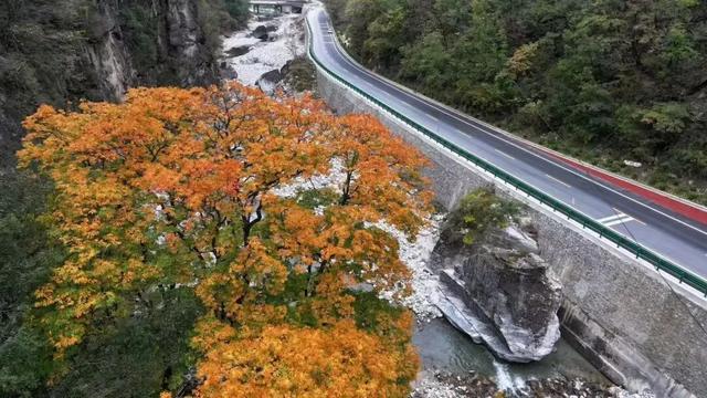 秋假冲鸭!佛坪“秋日乌托邦”,承包你的假日松弛感→