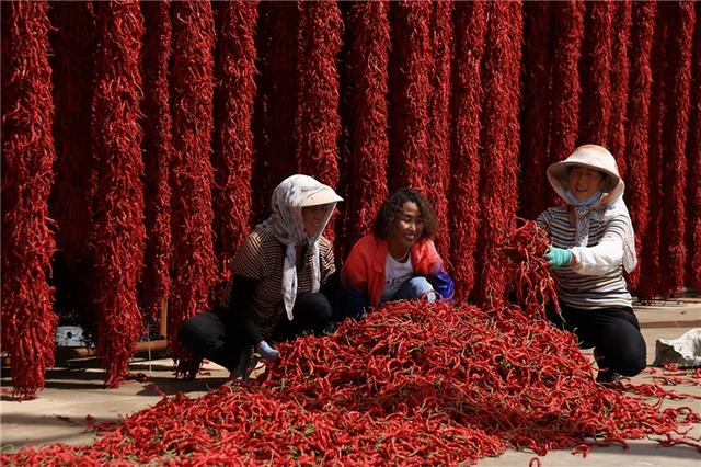 【线路产品】层林尽染秋色醉——精品线路游天水（三）