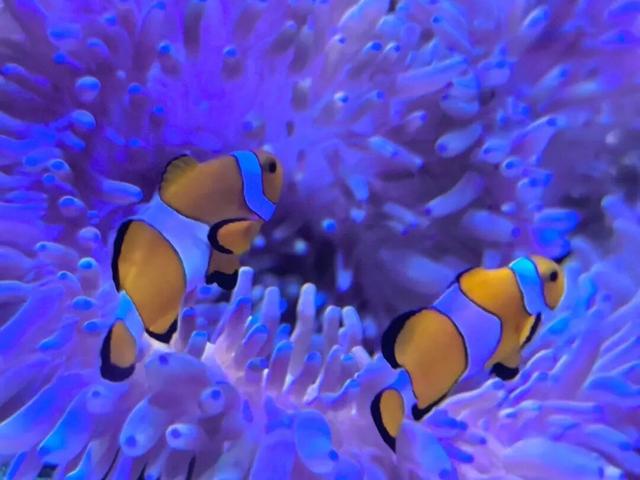 原来真的有城市，可以一天24小时都快乐~（1）