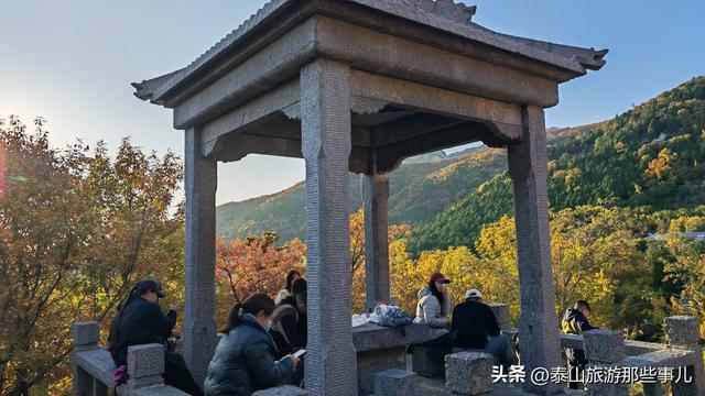 泰安：泰山腰一条鲜为人知的环山小道，却藏着深秋的惊艳