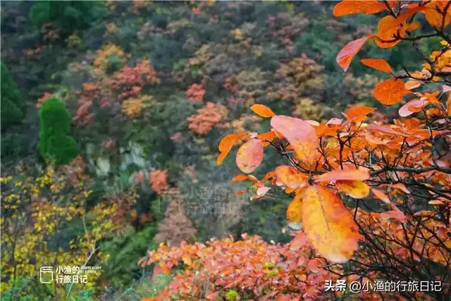 西安最容易抵达的秦岭峪口，美得震撼人心！去过100次都不会腻