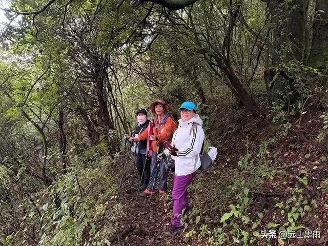 攀登昆明十峰之宜良老爷山，经历密林大雨考验，惊喜交加，难忘