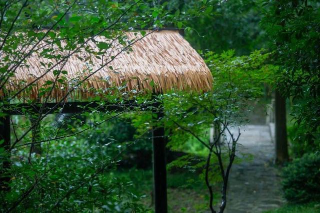 太美！来看金坛茅山私藏的「秋雨仙境」