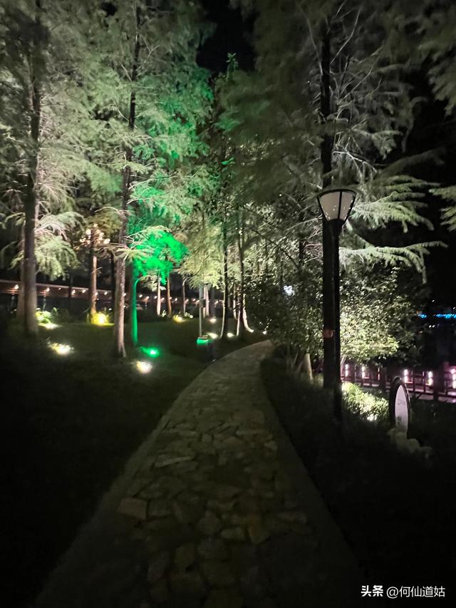 记水西路创业公园夜行