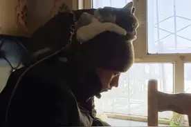 赵朔西行漫记，悟空没了，车祸去世，我哭的不能自已，像个神经病图片