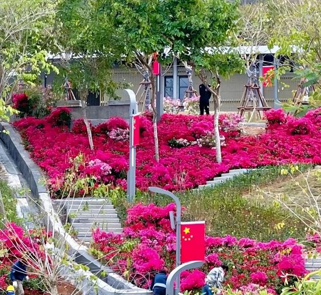 厦门山海健康步道林海线一期，全长约18千米，一共有五大景观节点