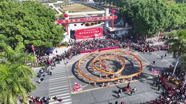 攻狮子、大巡游……元宵节，来德庆狂欢一整日！