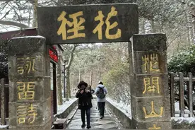 上庐山“开个会”图片