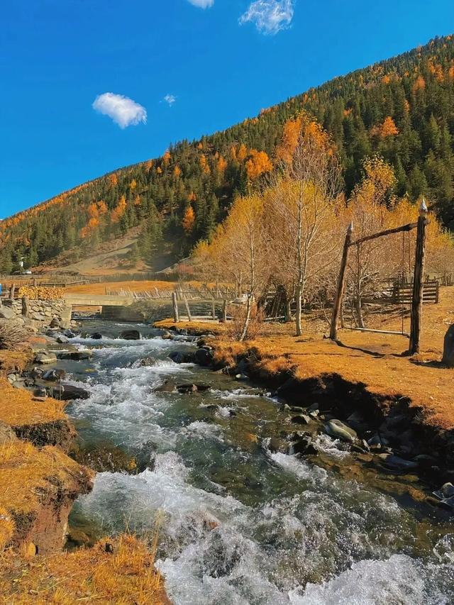 停停停！甘孜秋天美得太快了我看不过来