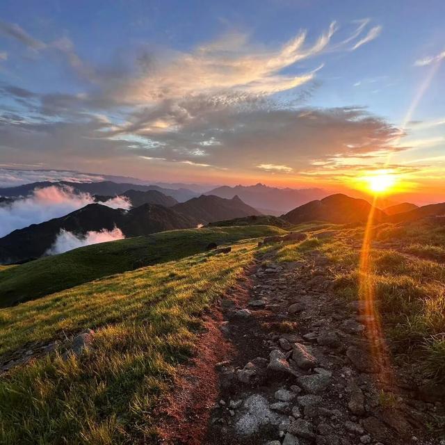 大佬用的体制内头像