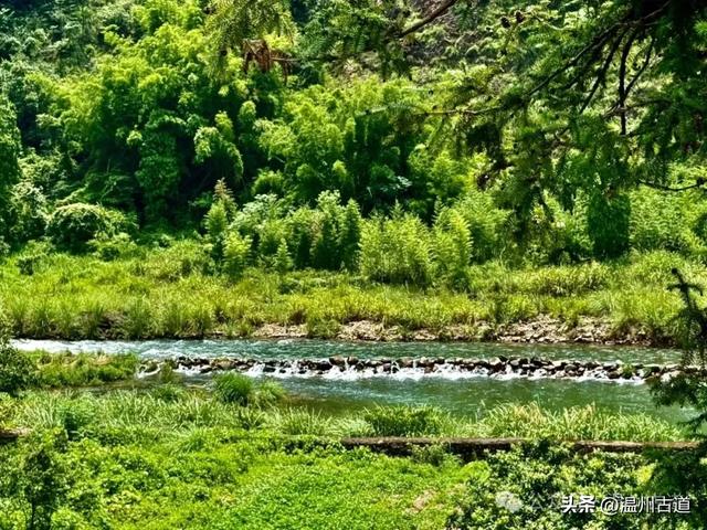 温州这处山水秘境、天然氧吧，人迹稀少风景绝美，秘藏了隐世古村