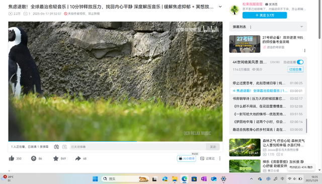平衡便携与性能 Microsoft Surface Pro 12测评