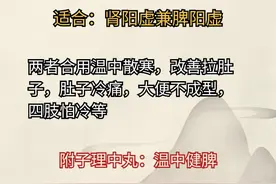 金匮肾气丸不止补肾阳！还有四种搭配，补脾，补好肺，补好肾！图片