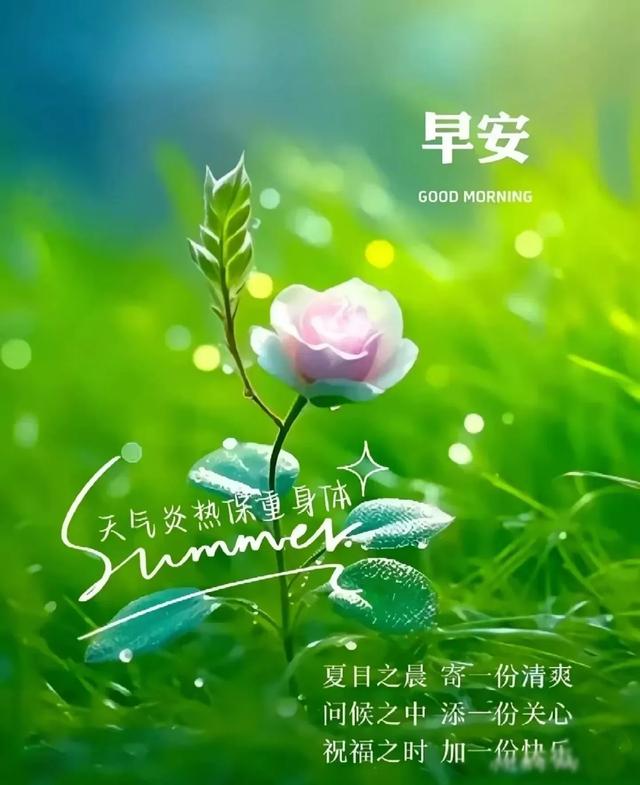 早上好早安祝福美图/静观天边云卷云舒，笑看庭前花开花落