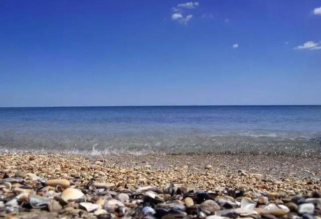 黄骅记忆 | 贾漫：故乡黄骅历史风云