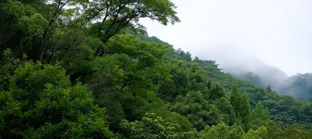 广东小众避暑胜地在这！和唐九洲一起征服“秋名山”
