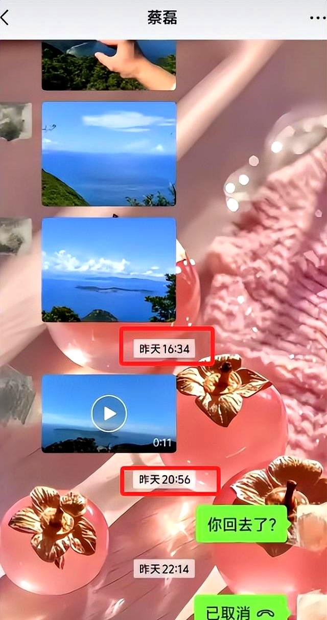 失联多日！蔡磊确认遇难，哥哥透露更多细节，有一个问题待解决