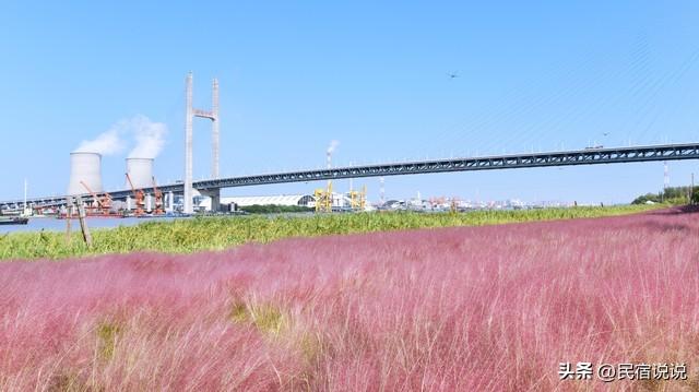 上海这个私人园林变名寺，红啦！