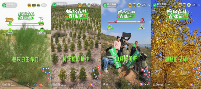 看见直播间里种树，年轻人就走不动道了