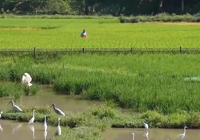 解锁初秋遛娃新花样！登山、溯溪、竹筏漂流……带娃玩转丹霞山水间