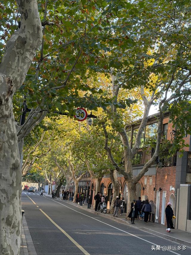 走进上海武康路，走进了历史长河