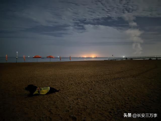 北上大草原第3站：日照凌晨观火箭，东营午后探黄河