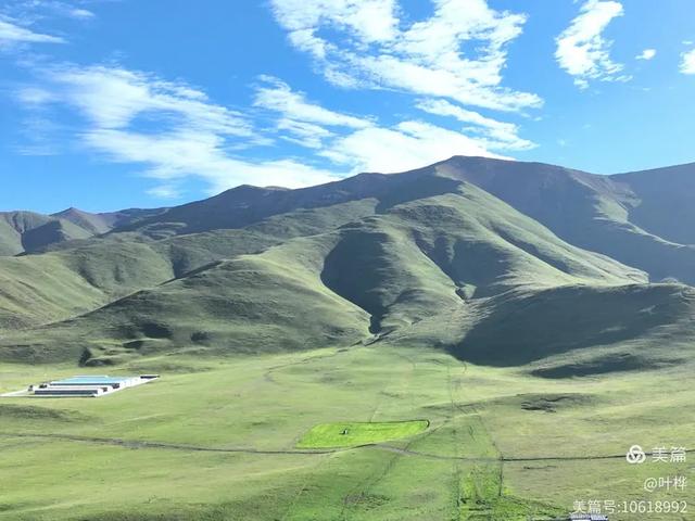 寄情青海湖 图文/叶桦