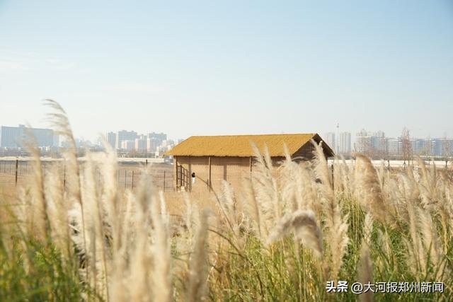 大河村国家考古遗址公园即将开园！七千年仰韶文化绽放时代新韵