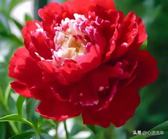 今天过后，你将涅槃重生，所有的磨难过去，你的人生从此与众不同