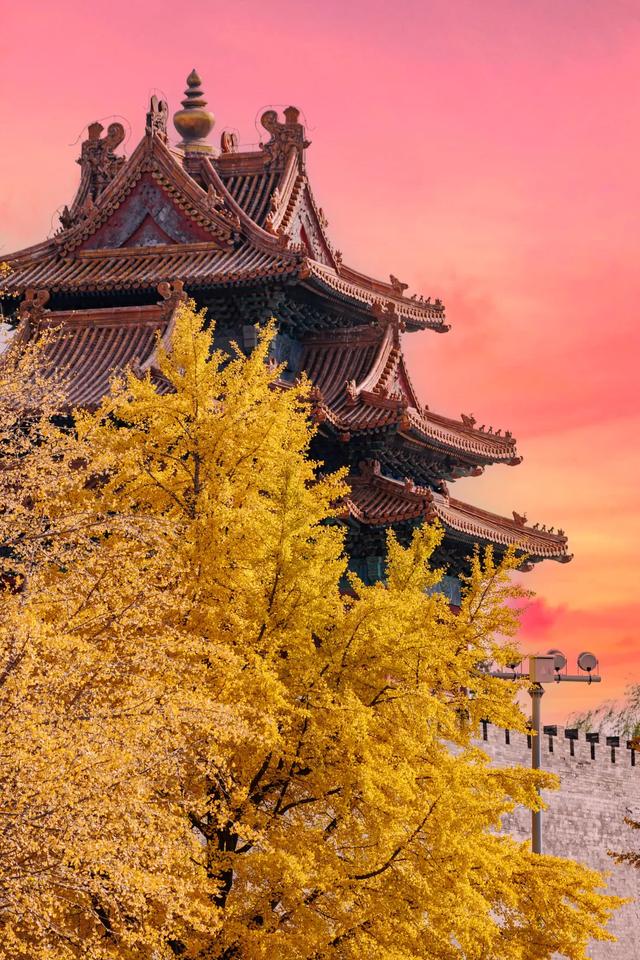 你会怀念这个秋天吗？