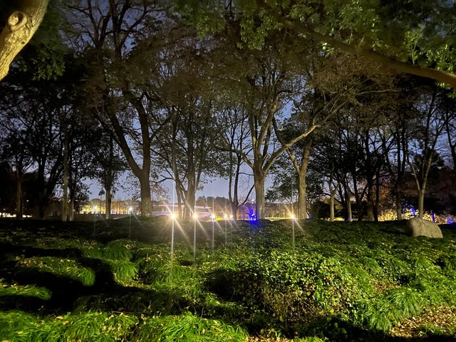 夜步嘉兴中央公园