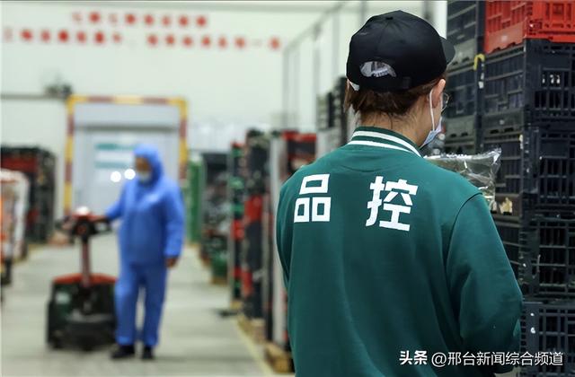 11.11行业首推“24小时菜”与“全程溯源” 京东七鲜树立生鲜品质新标杆