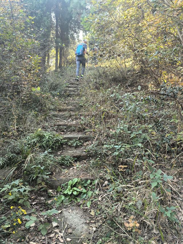 南京龙尚湖，大连山，佘村一日郊野徒步