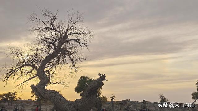 2025国庆西北自驾游（3）：黑城弱水胡杨风景区