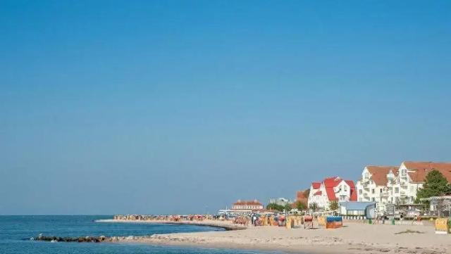 山东省臭名远播的四所大学！已被人民日报点名批评，学生擦亮眼睛