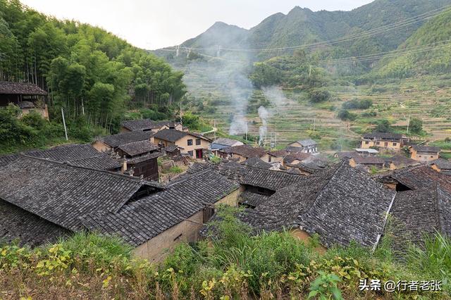 走遍浙江古村落，为了看一棵枯树，我骑行一千公里来了两趟松阳