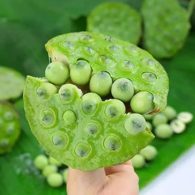 “妈，你的荷花头像可以换了”