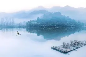 降血脂药物，你用对了吗图片