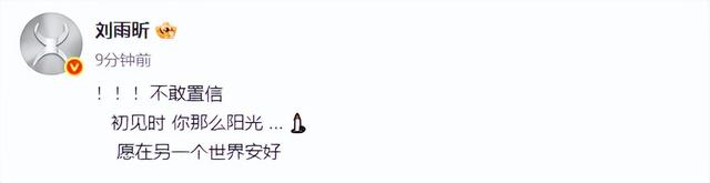 众星发文悼念于朦胧