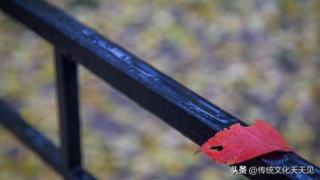 国庆长假最后一天中雨，闲坐家中品唐诗过寒露