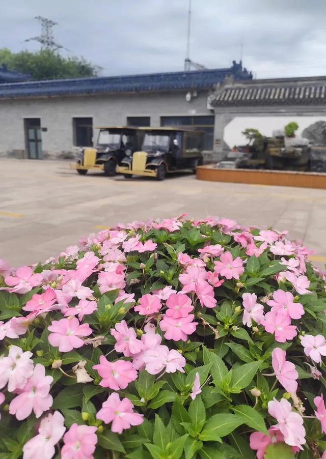 黄安哭着送别千百惠，他送上花圈，他说“统一时一定会通知她”！