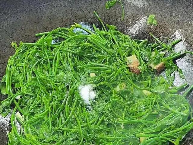 立秋过后，要使劲吃这菜，一排毒、二助眠、三清肝护眼，清新脆嫩