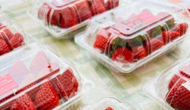 东京采草莓景点10选：新宿、涩谷当日来回、多样草莓品种吃到饱