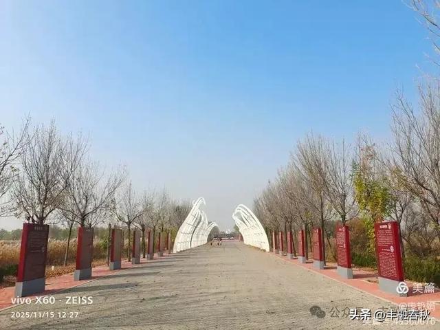 苇风载秋，鹤影映波——河北黄骅南大港湿地的初冬漫游｜ 申艳娟